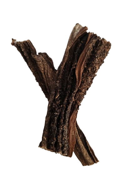 Panse de Bœuf Chien
