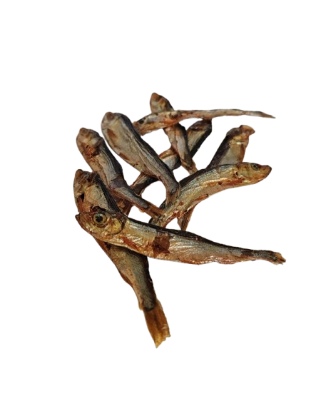 Sprats Chat et Furet