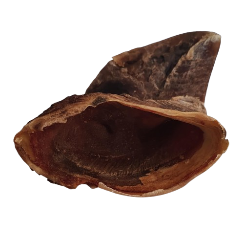 Sabot de Bœuf Chien