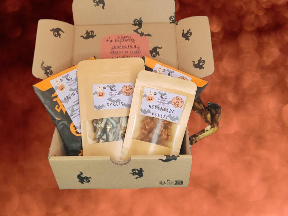 Box Chien Halloween – 100% Naturelle et Saine 🎃🐾