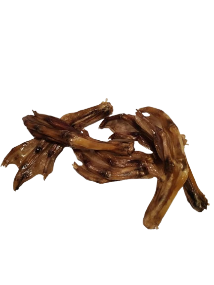 Pattes de Canard Chien