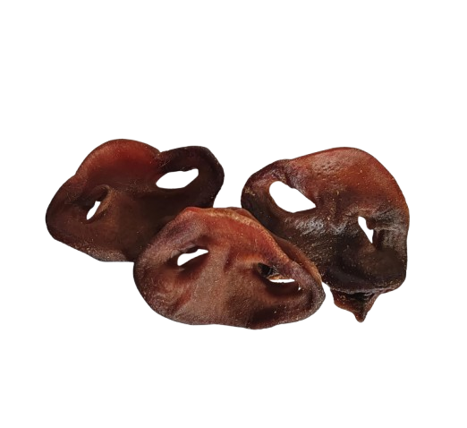 Groin de Porc Chiot