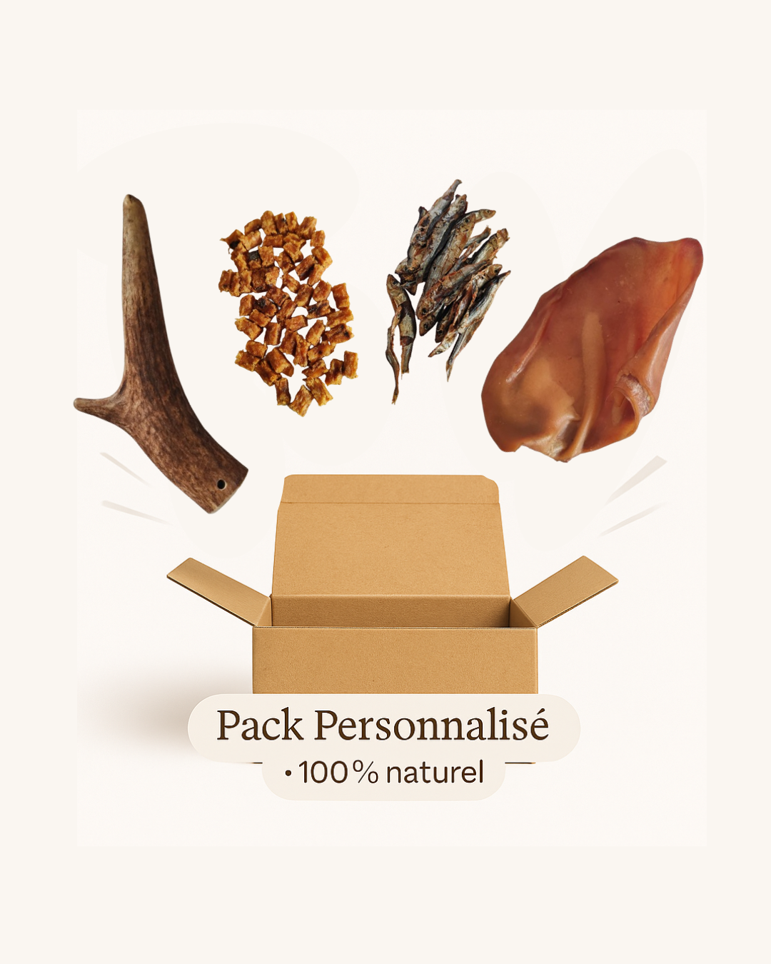 Pack Personnalisé Chien & Chiot
