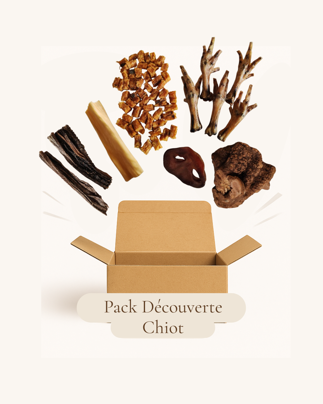 Pack Découverte Chiot