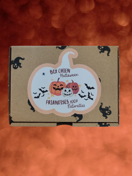 Box Chien Halloween – 100% Naturelle et Saine 🎃🐾