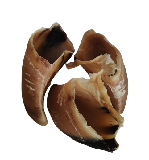 Sabot de Veau Chiot