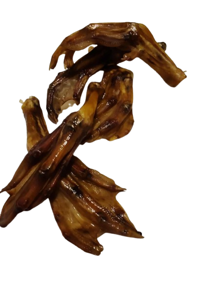 Pattes de Canard Chien
