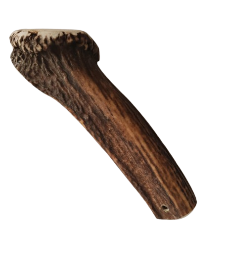 Bois de Cerf Chien