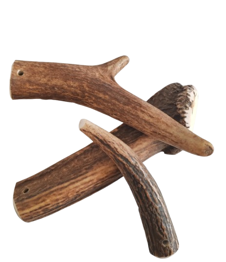 Bois de Cerf Chien
