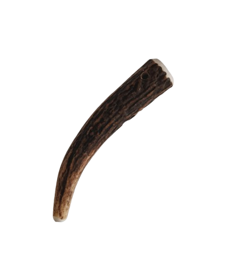 Bois de Cerf Chien