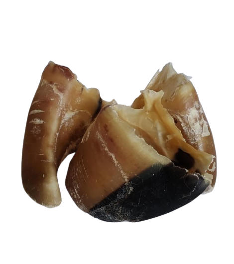 Sabot de Veau Chiot