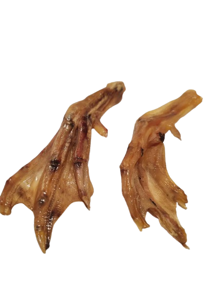 Pattes de Canard Chien