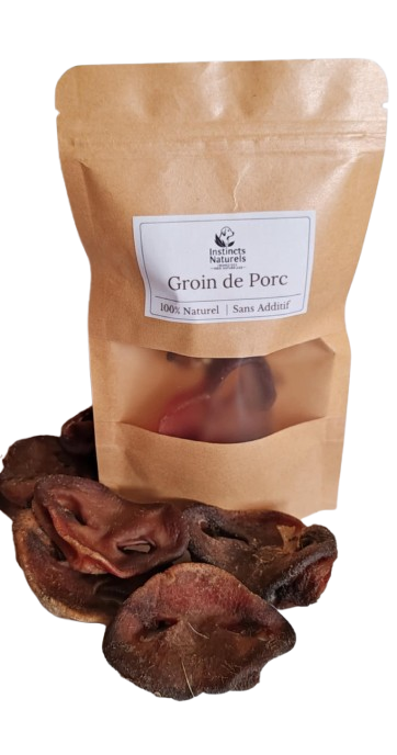 Groin de Porc Chiot