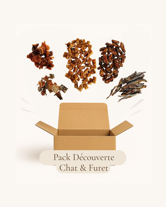 Pack Découverte Chats & Furets