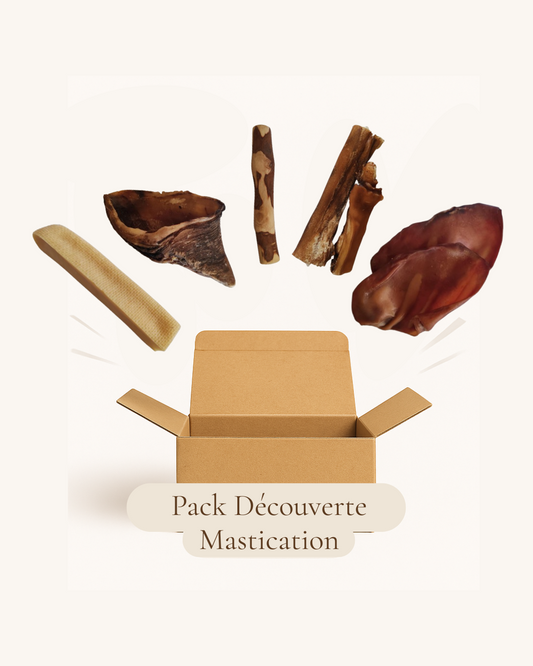 Pack Découverte Mastication Chien