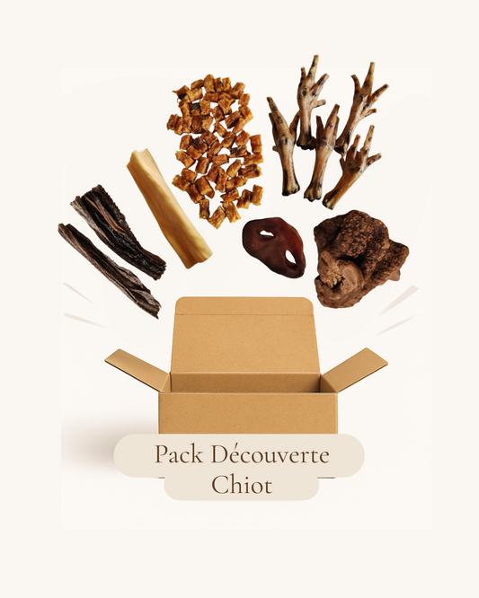 Pack Découverte Chiot
