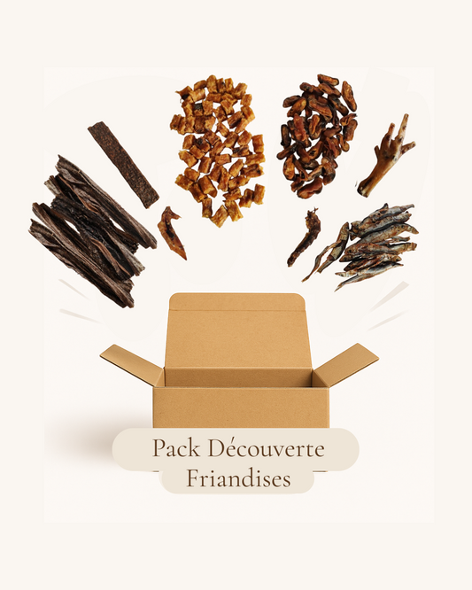 Pack Découverte Friandises Chien