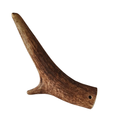 Bois de Cerf Chien